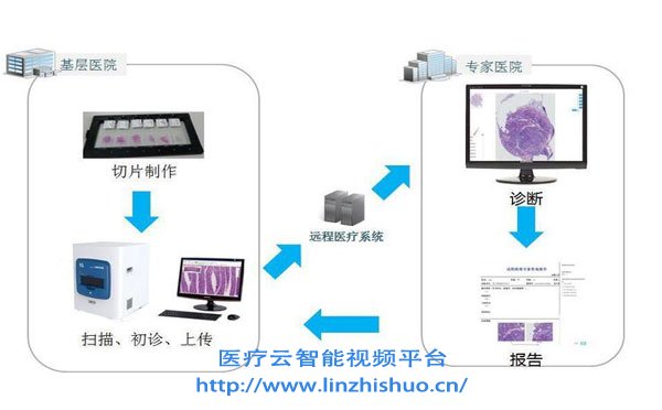 數字病理遠程會診系統